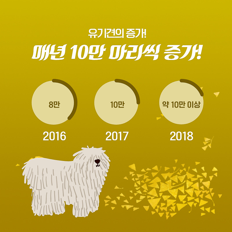 유기견 입양 (3).jpg