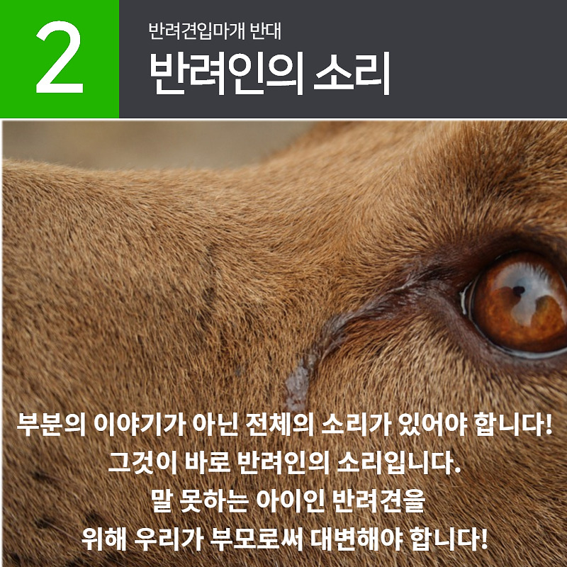 반려견입마개반대.com_005.jpg
