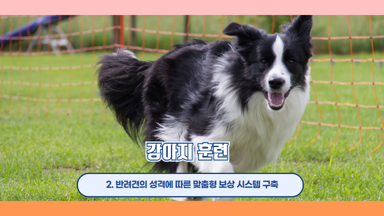 강아지훈련 3.jpg