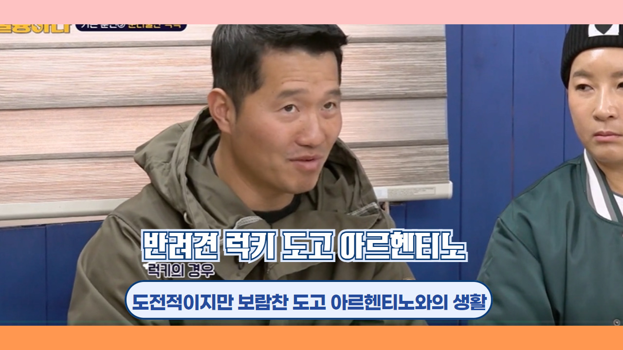 반려견 럭키 도고 아르헨티노 12.jpg