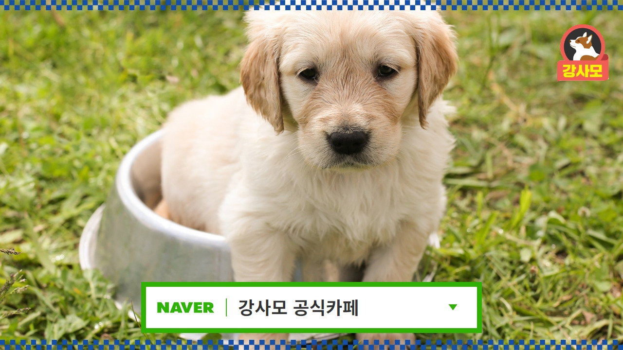 강사모카페 8.jpg