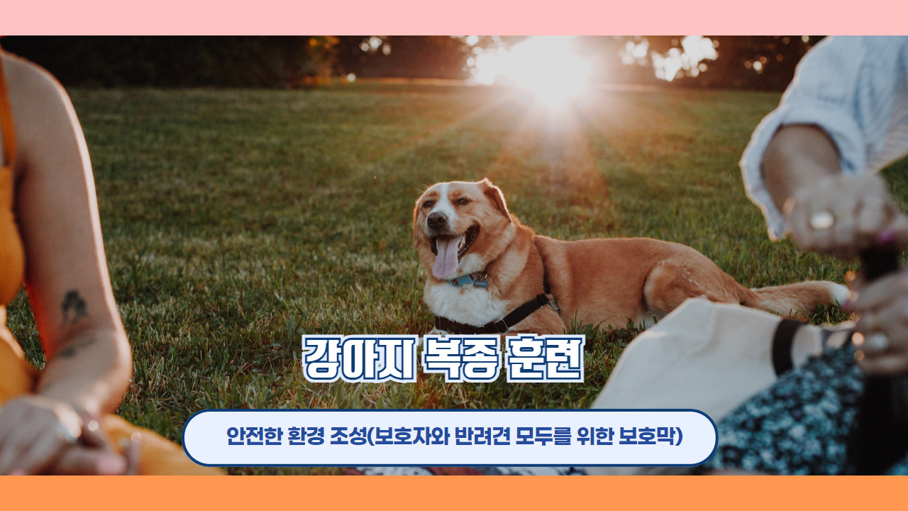 강아지복종훈련 3.jpg