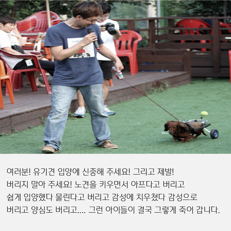 유기견입양 (8).jpg