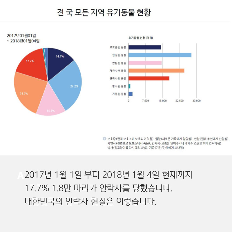 유기견입양 (1).jpg