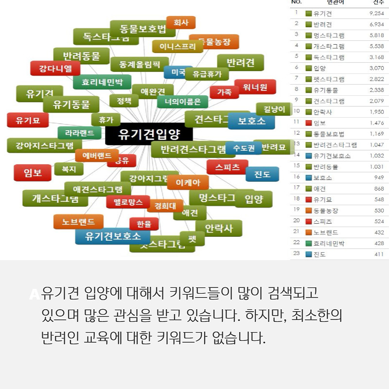 유기견입양 (3).jpg