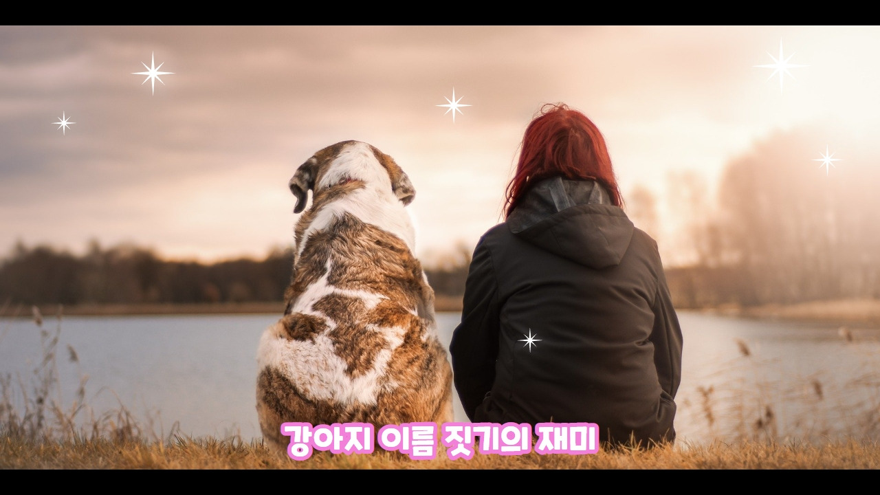 강아지이름표 4.jpg