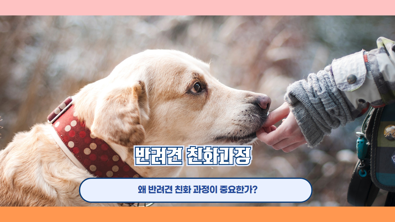 반려견 친화과정 3.jpg