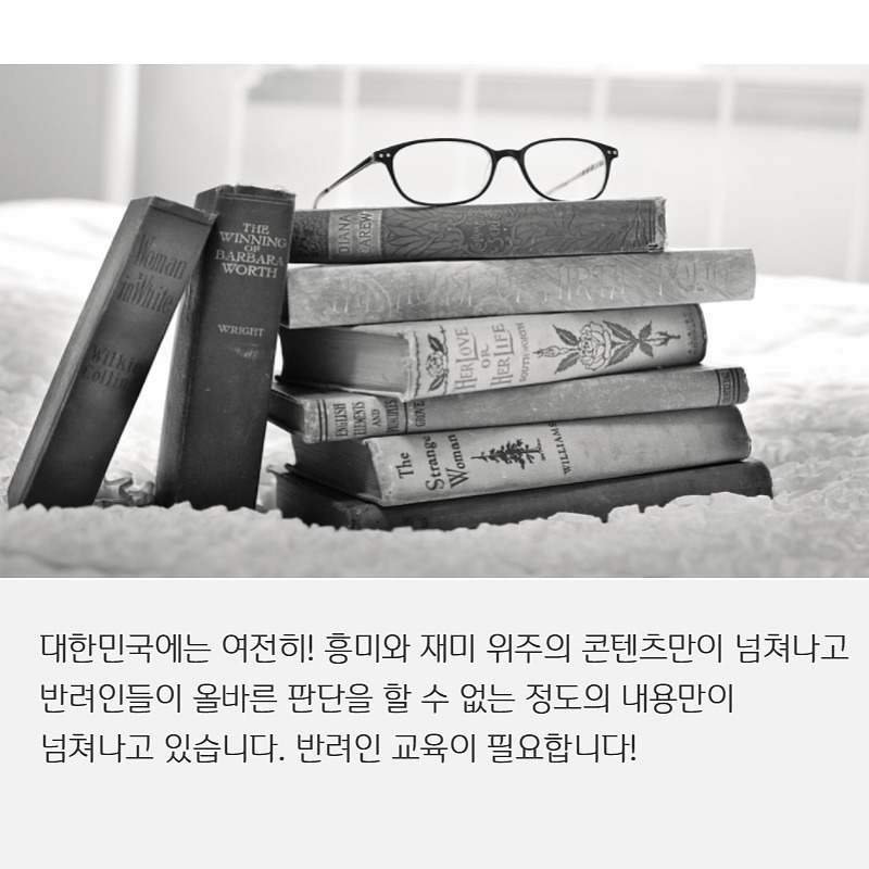 유기견입양 (7).jpg