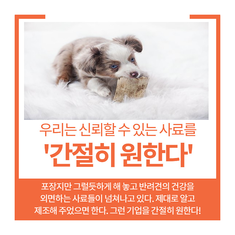 반려견사료 (3).jpg