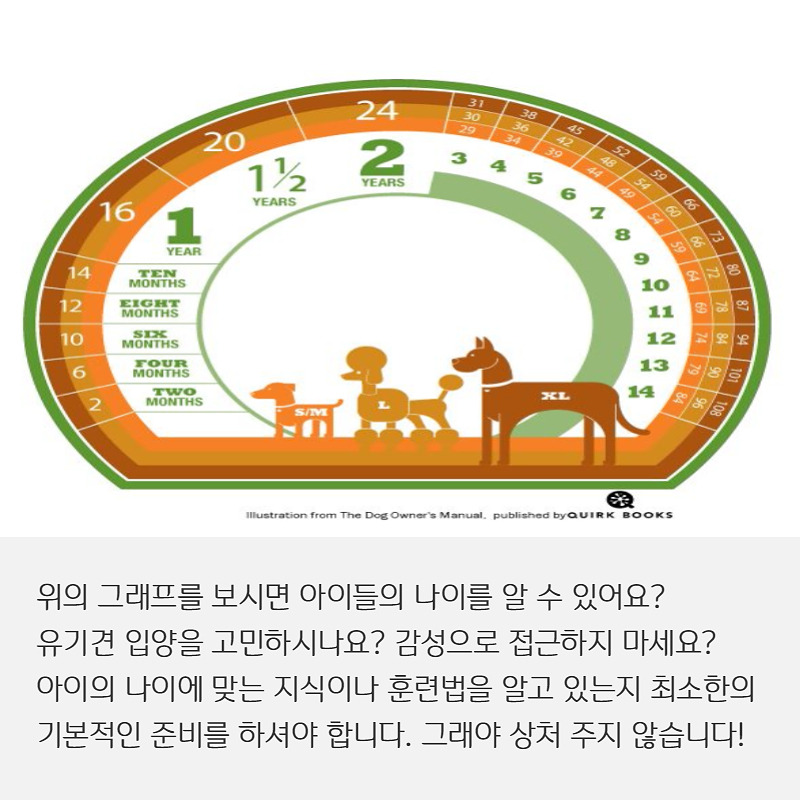 유기견입양 (6).jpg