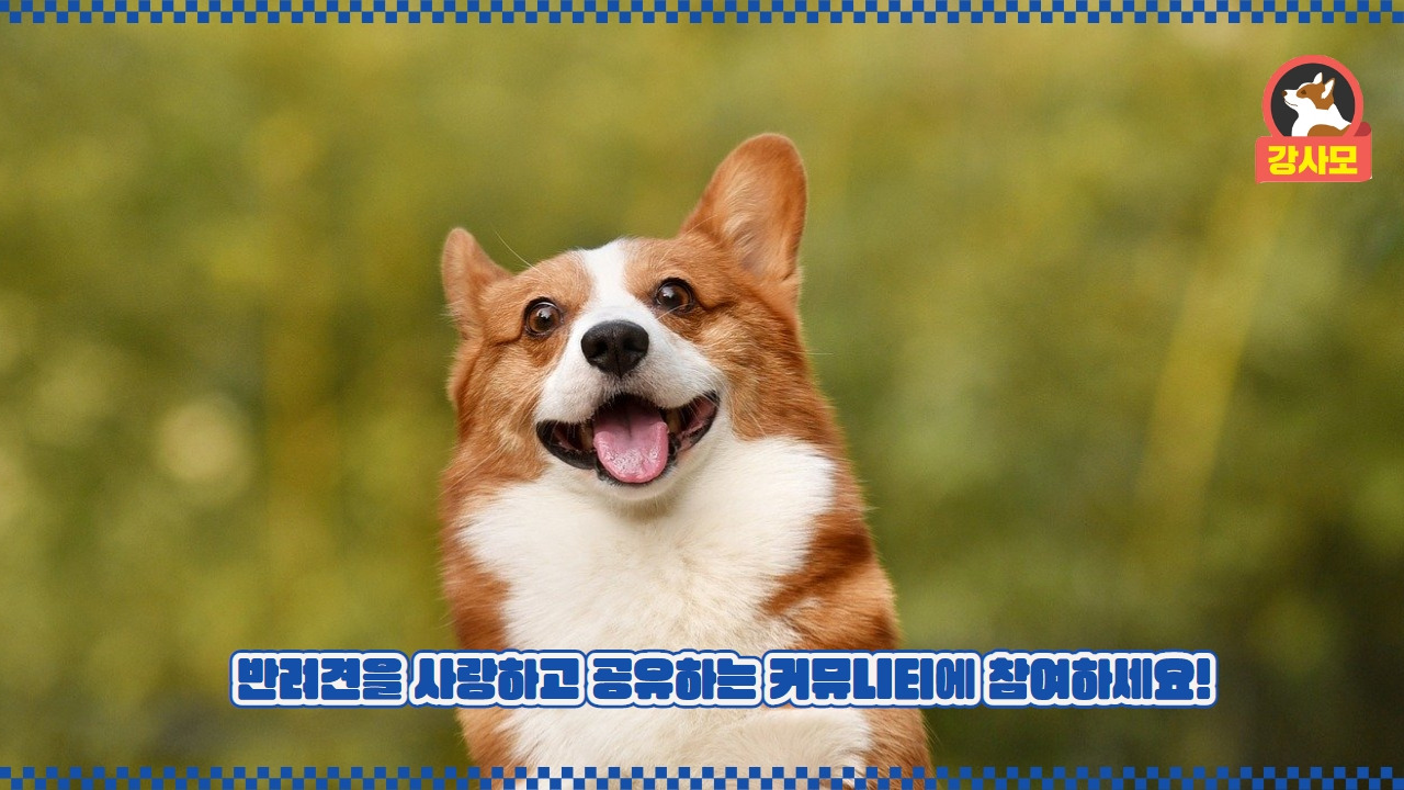 강사모카페 2.jpg