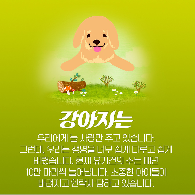 유기견 입양 (2).jpg