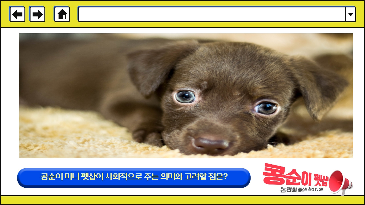 콩순이미니펫샵 4.jpg