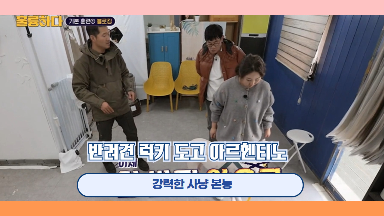 반려견 럭키 도고 아르헨티노 10.jpg