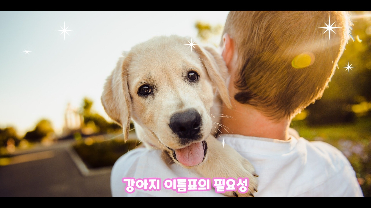 강아지이름표 2.jpg