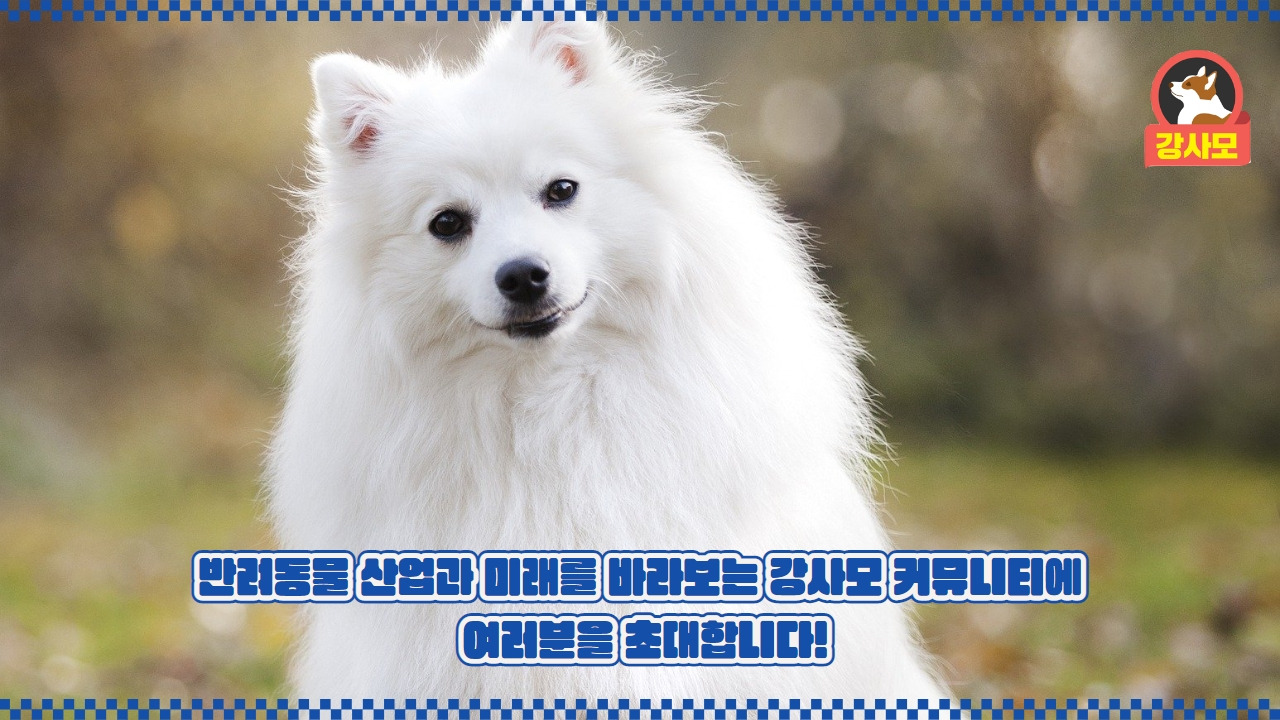 강사모카페 6.jpg