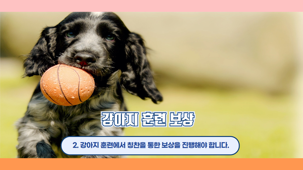 강아지 훈련 보상 3.jpg