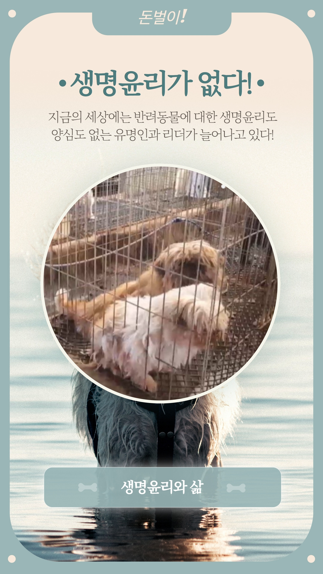 생명윤리가 없다.jpg