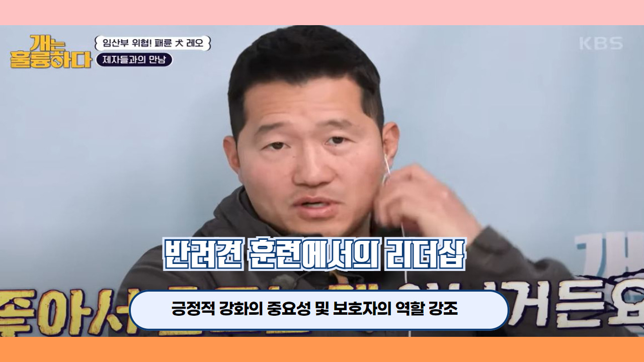 개는훌륭하다 시바견 레오 5.jpg