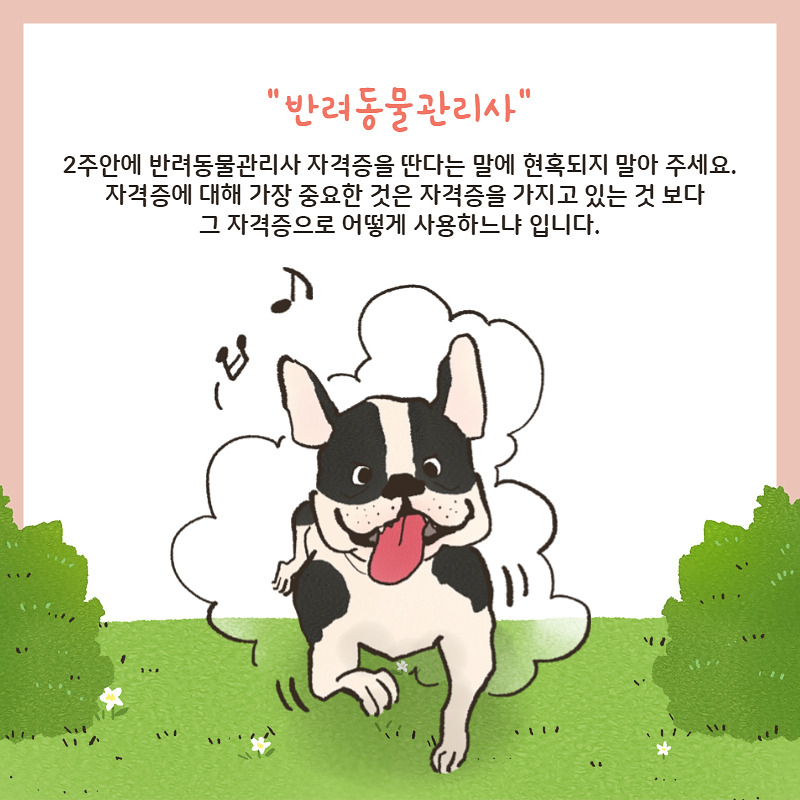 반려동물관리사자격증 (2).jpg