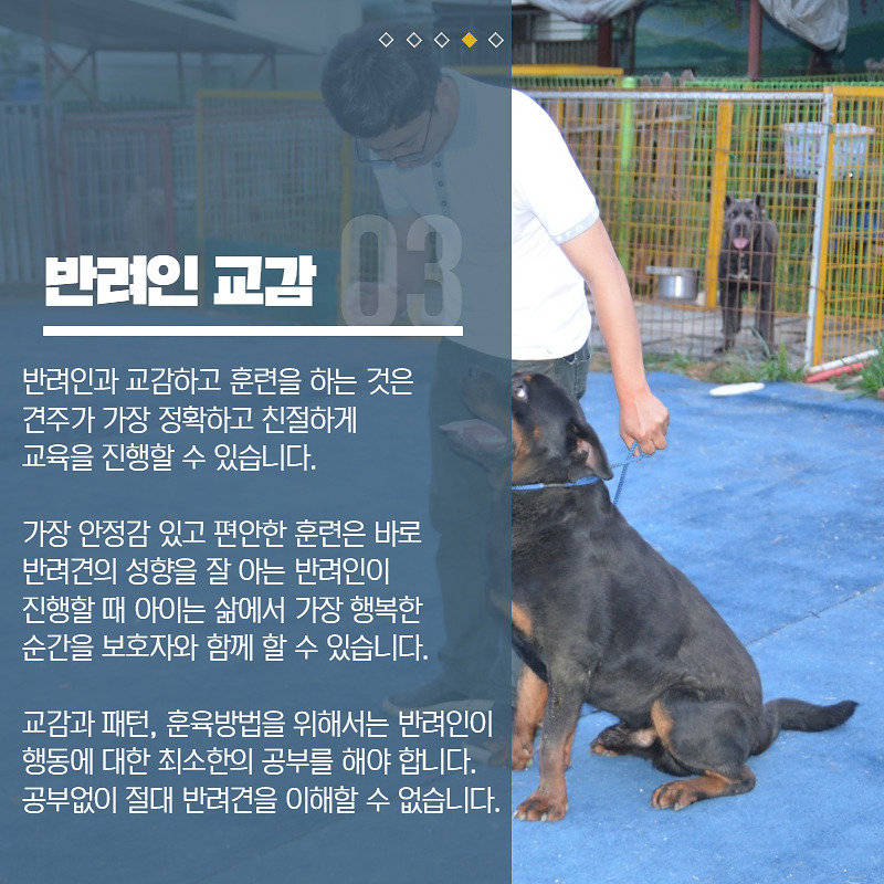 반려인교육 (3).jpg