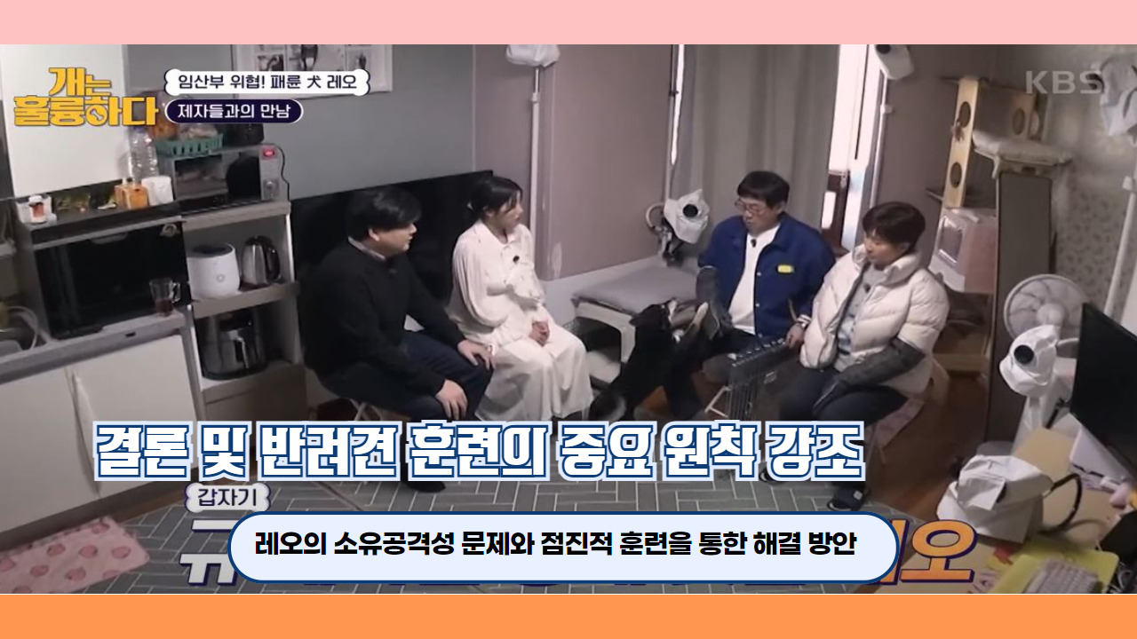 개는훌륭하다 시바견 레오 4.jpg