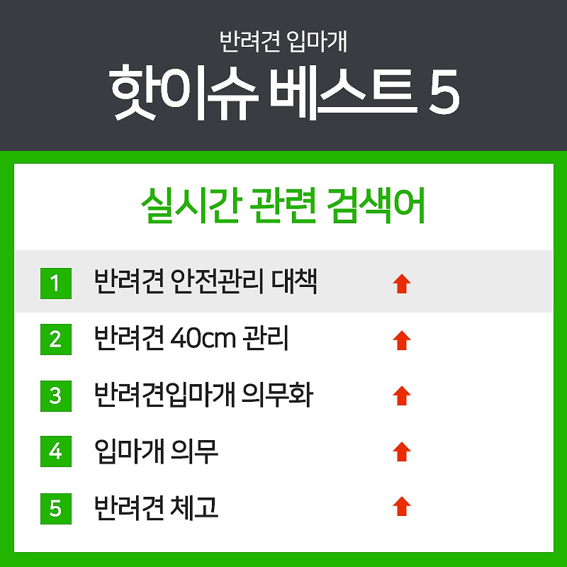 반려견입마개반대.com_003.jpg