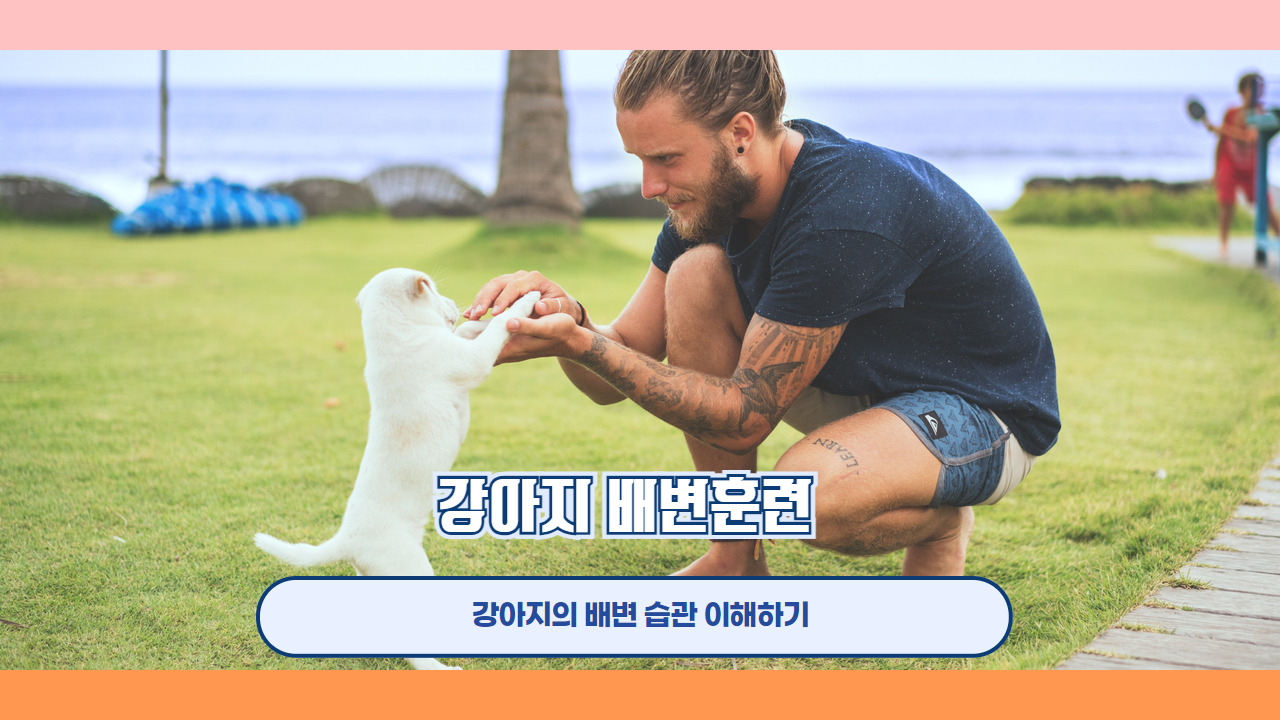 강아지 배변훈련 2.jpg