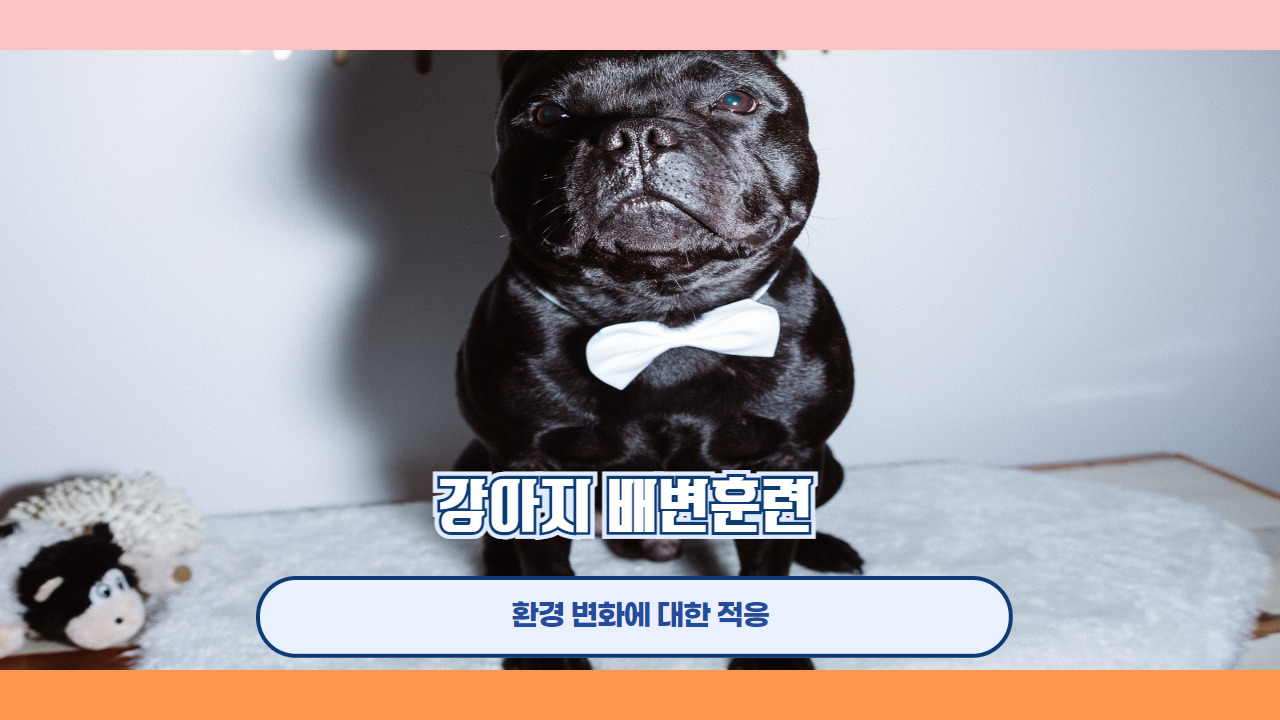 강아지 배변훈련 5.jpg