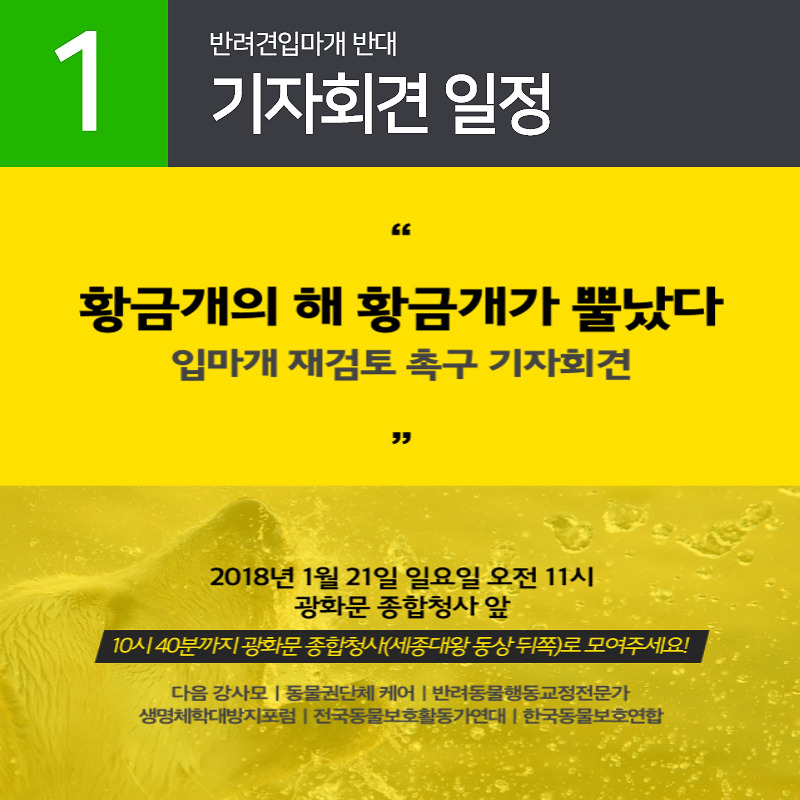 반려견입마개반대.com_004.jpg