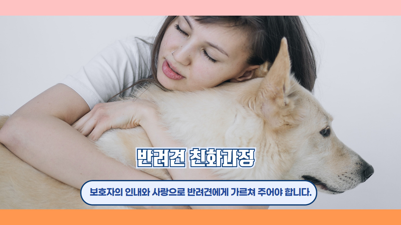 반려견 친화과정 1.jpg
