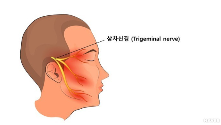 카지노 게임 추천