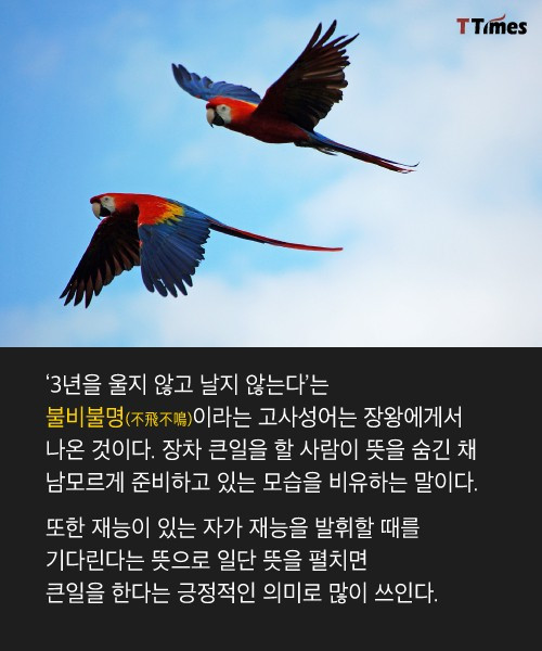 독수리02.jpg
