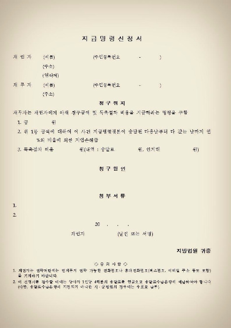 지급명령.jpg