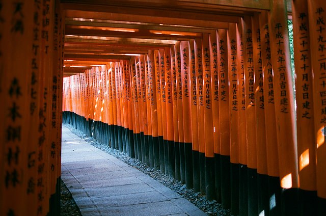 영화 1후시미 이나리 신사_Toomore Chiang.jpg