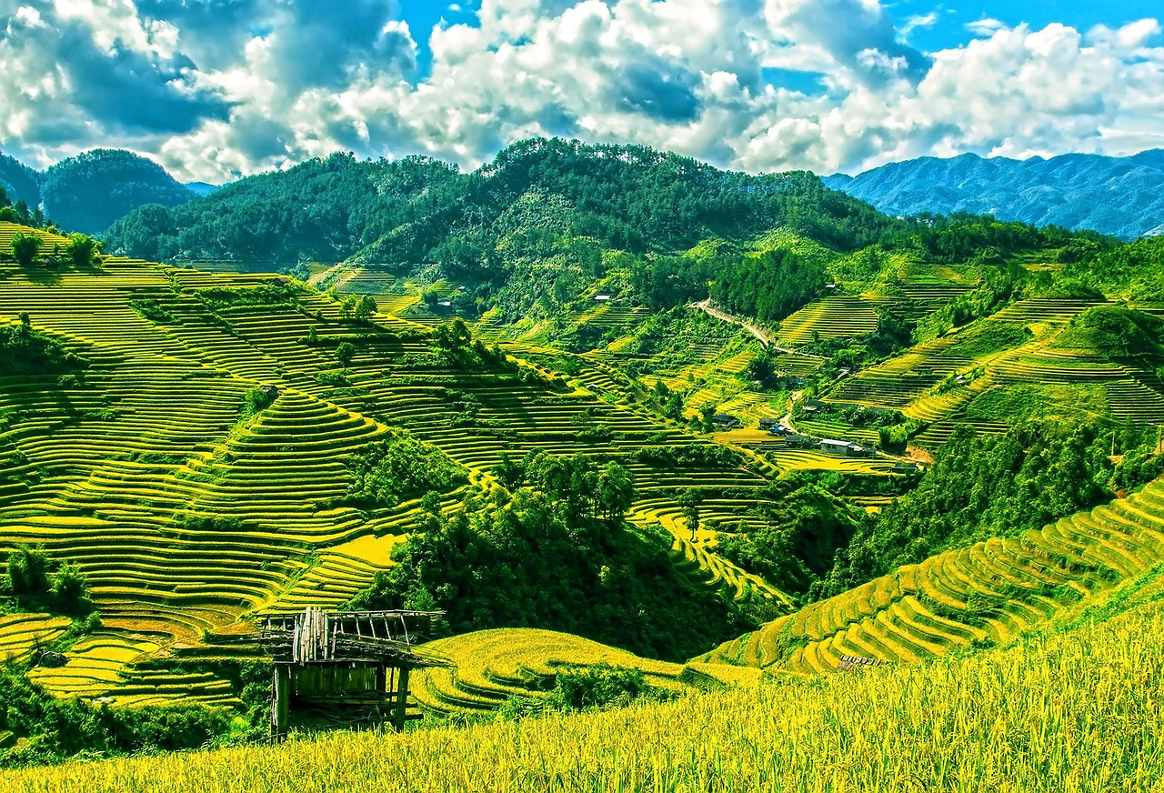 rice-terraces-164622_1280.jpg