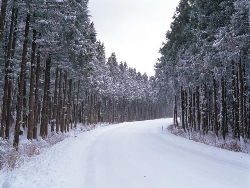 snow-in-jeju-island.jpg