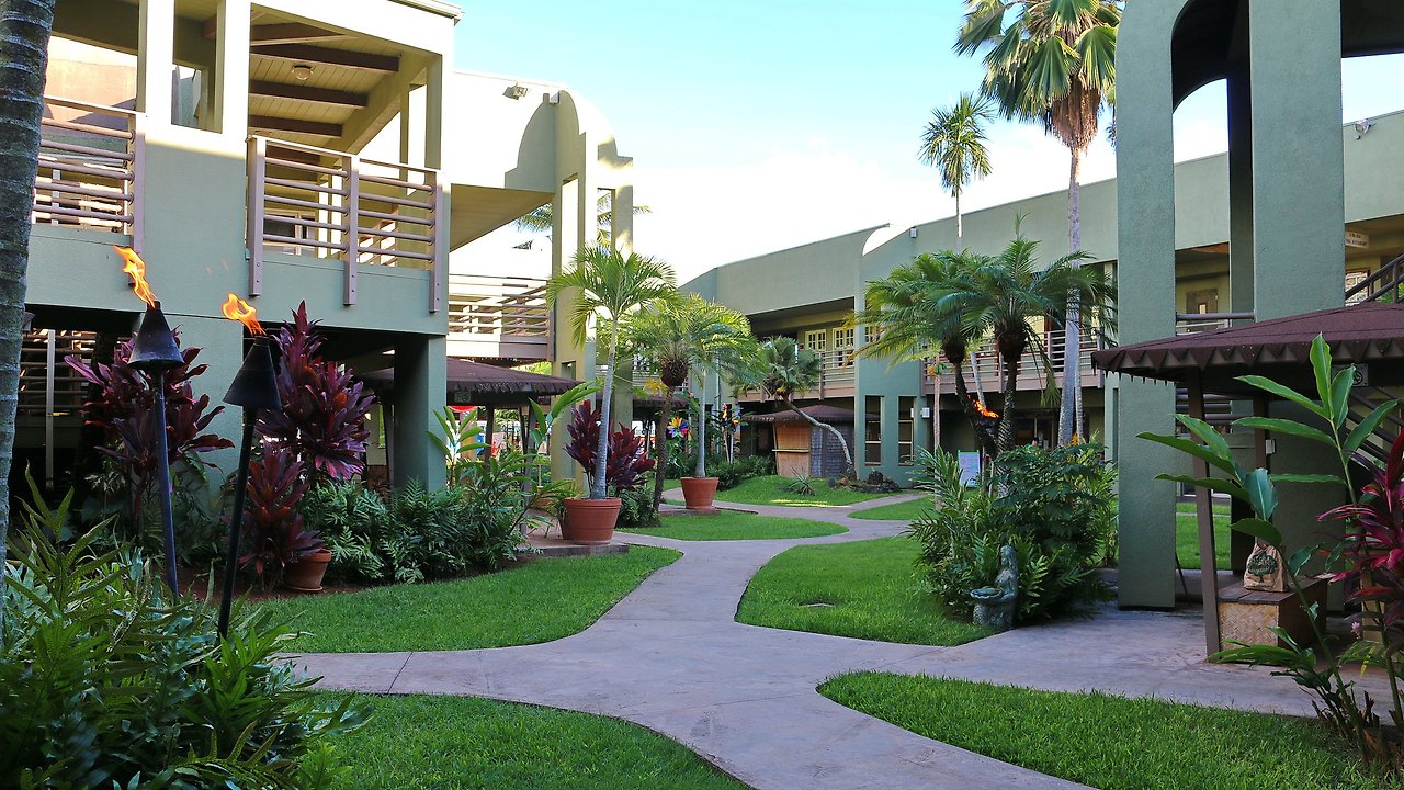 Flickr @Robert Linsdell.jpg