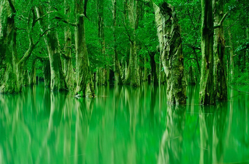 성문 저수지 공원.jpg