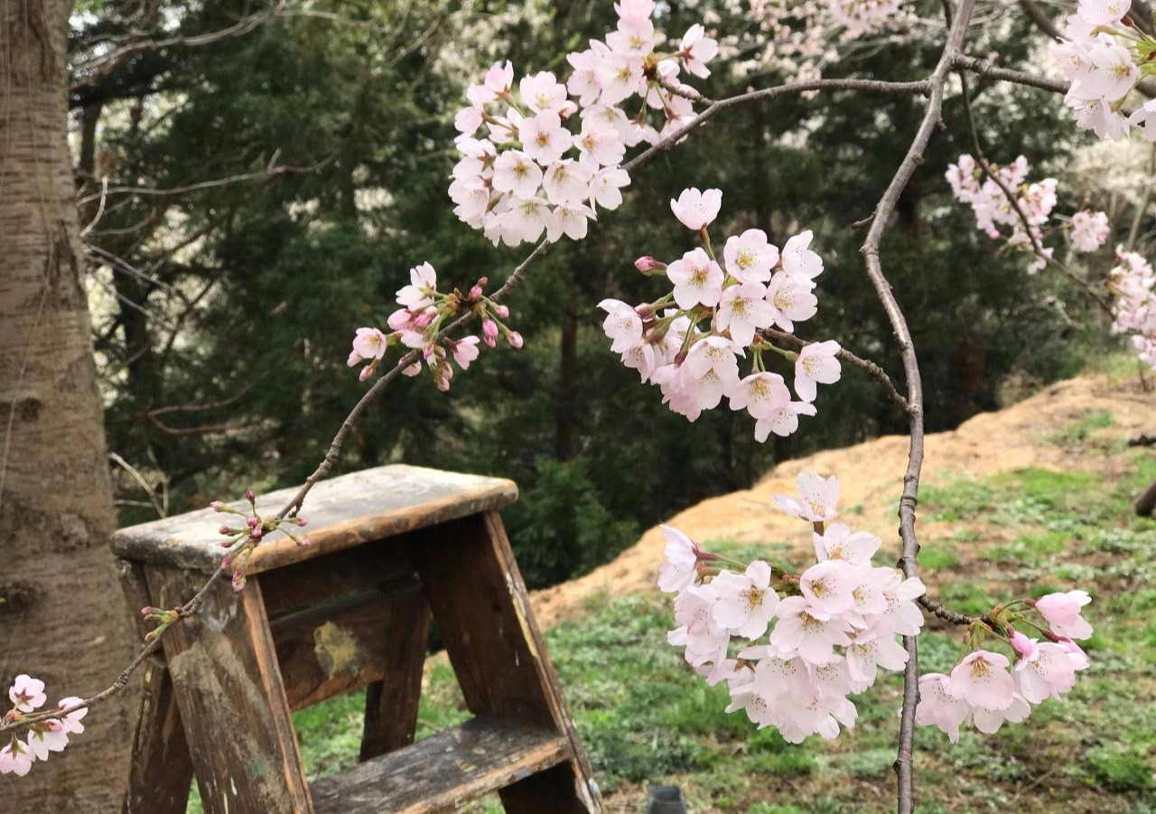 Image uploaded from iOS.jpg