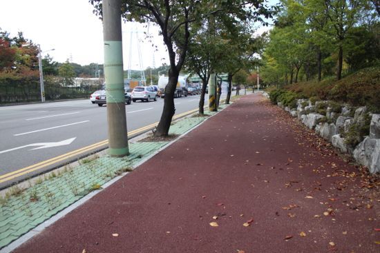 길 잃기 4.jpg