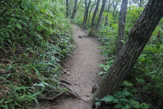 걷기 5.jpg