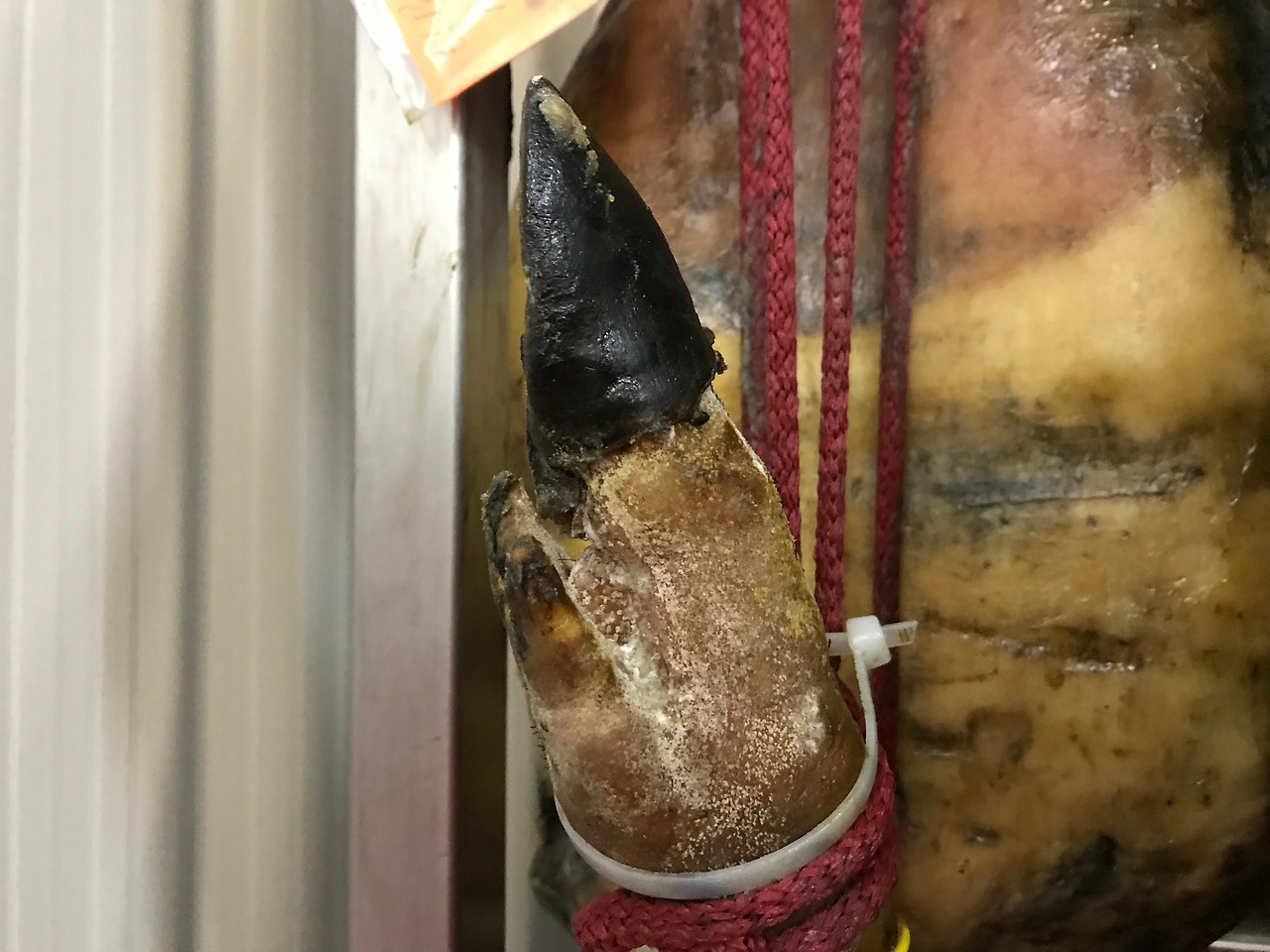 스페인 (11)_하몽.jpg