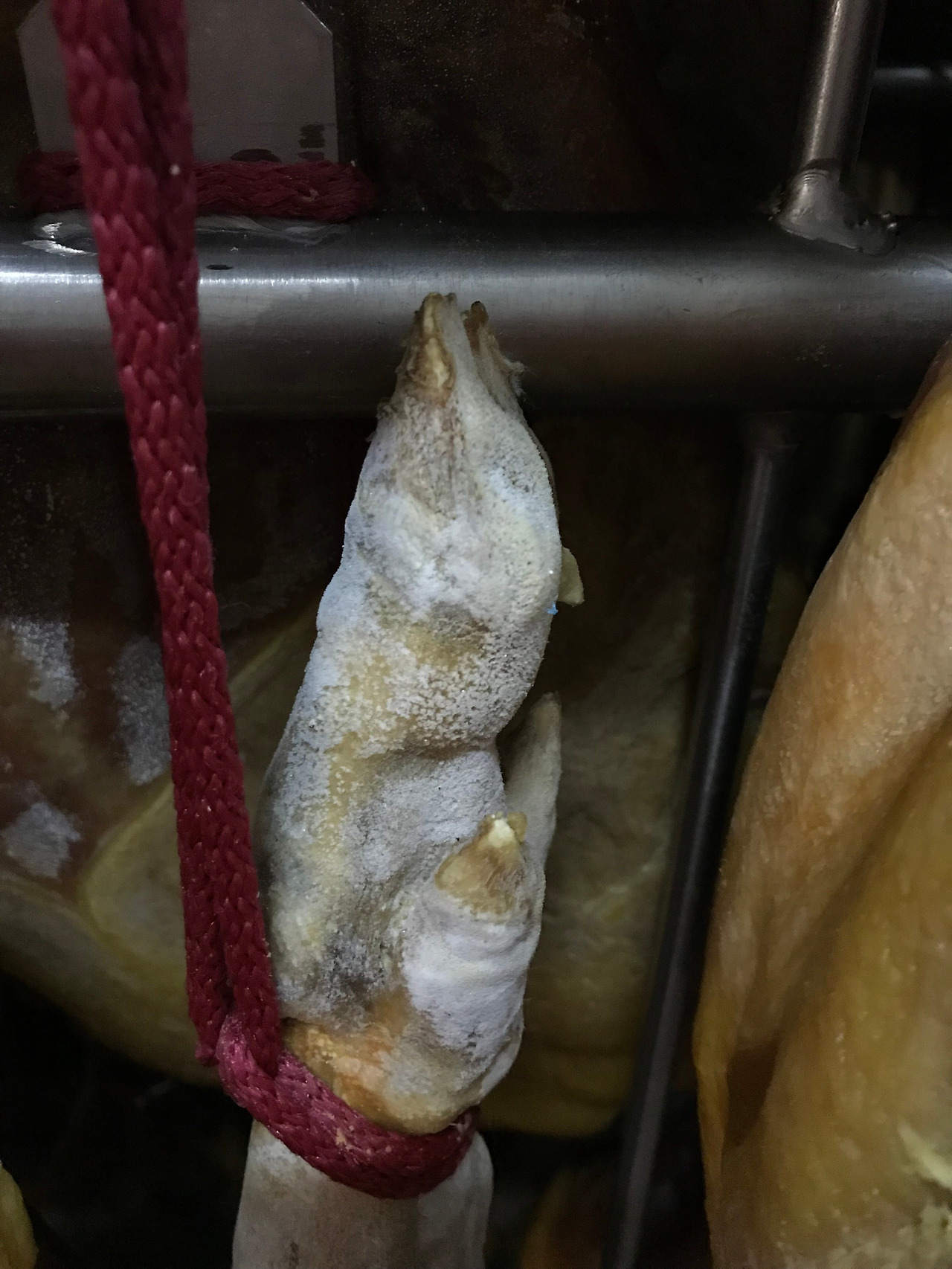 스페인 (12)_하몽.jpg