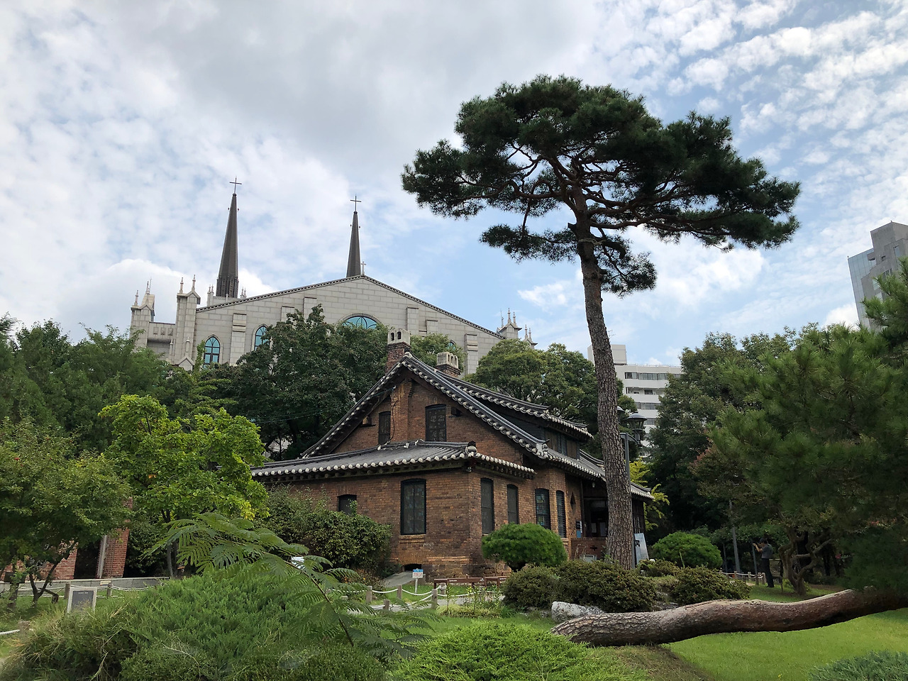 안젤라의푸드트립_34 (2).jpg