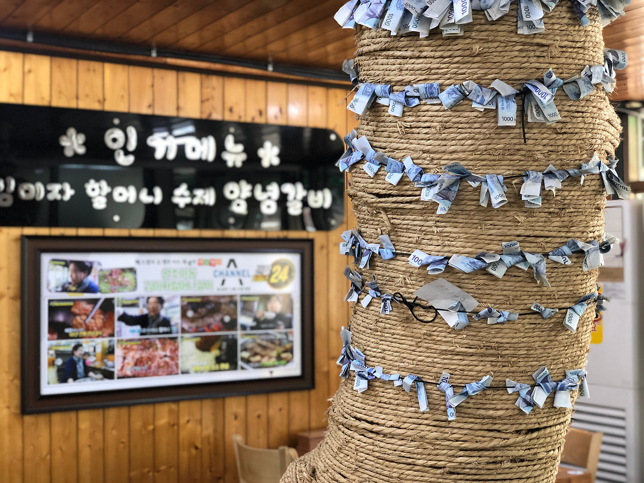 포천이동갈비 실내에 있는 느티나무.jpg