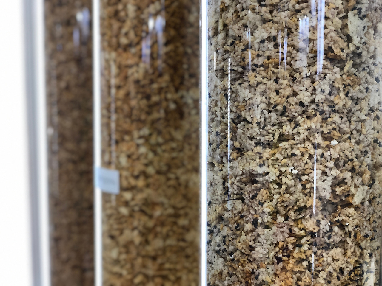 쌀의 기원 (4).jpg