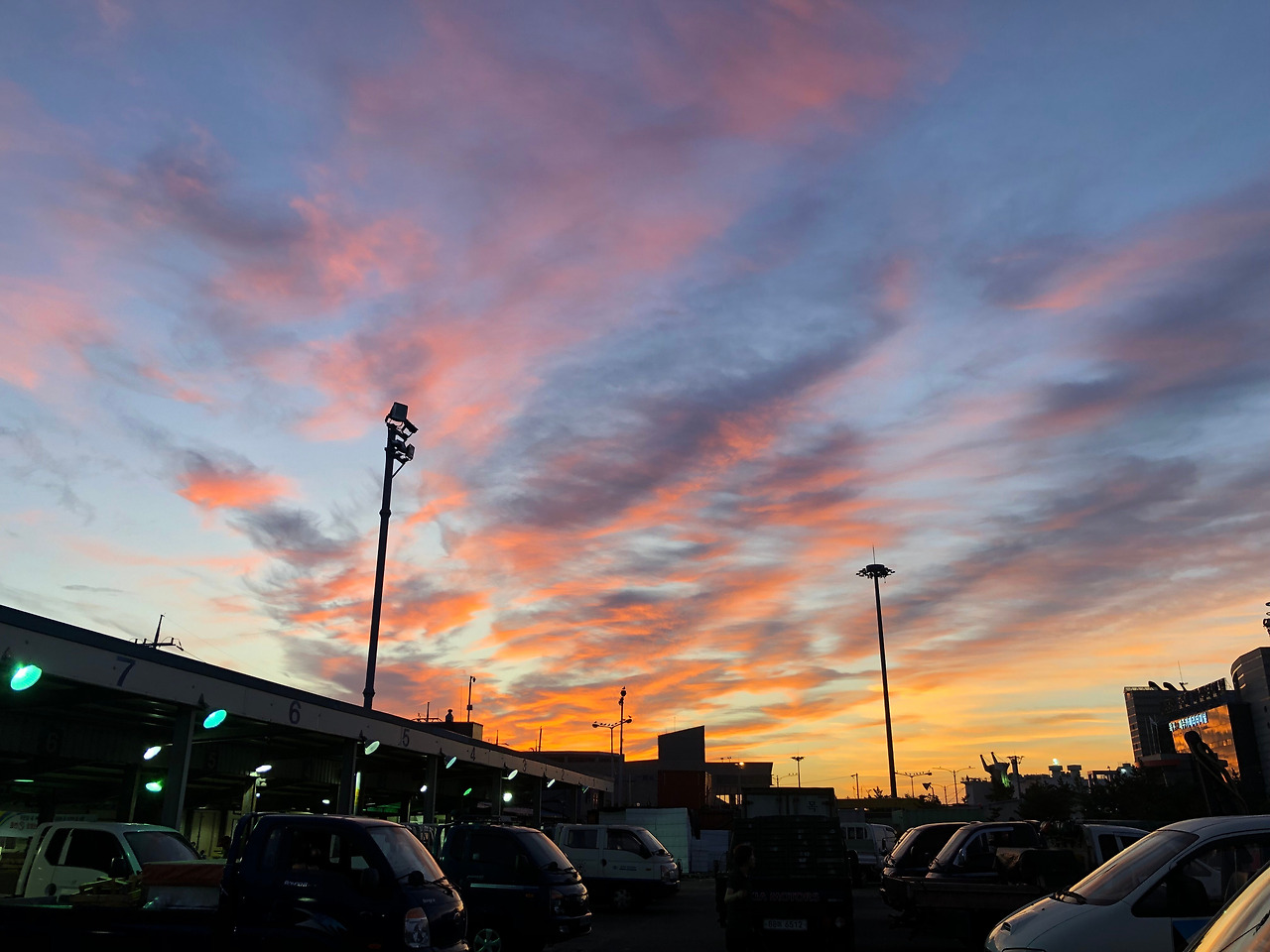 새벽 4시반 목포수산물시장의 모습.jpg