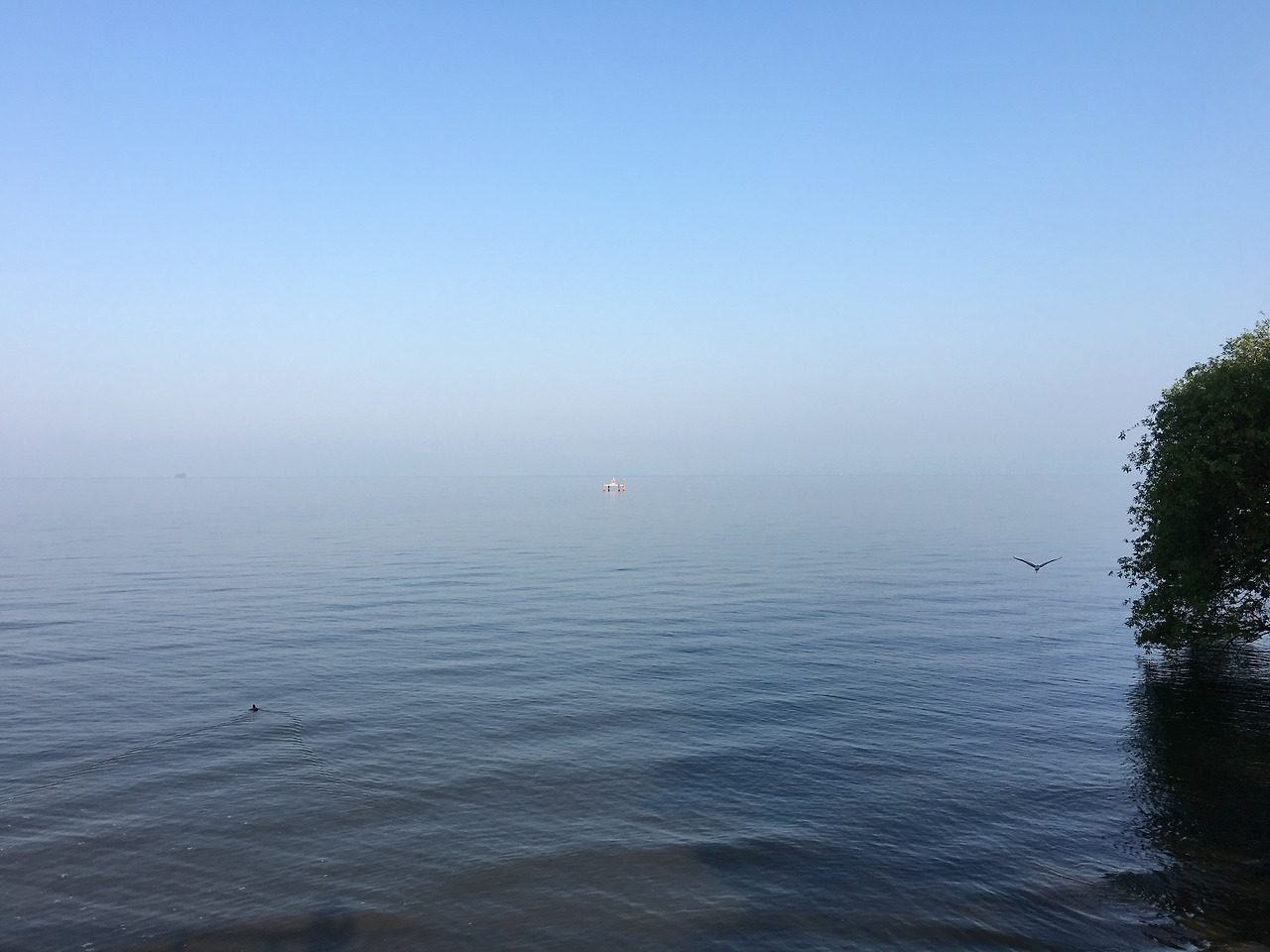 에도마에 06 비와호수.jpg