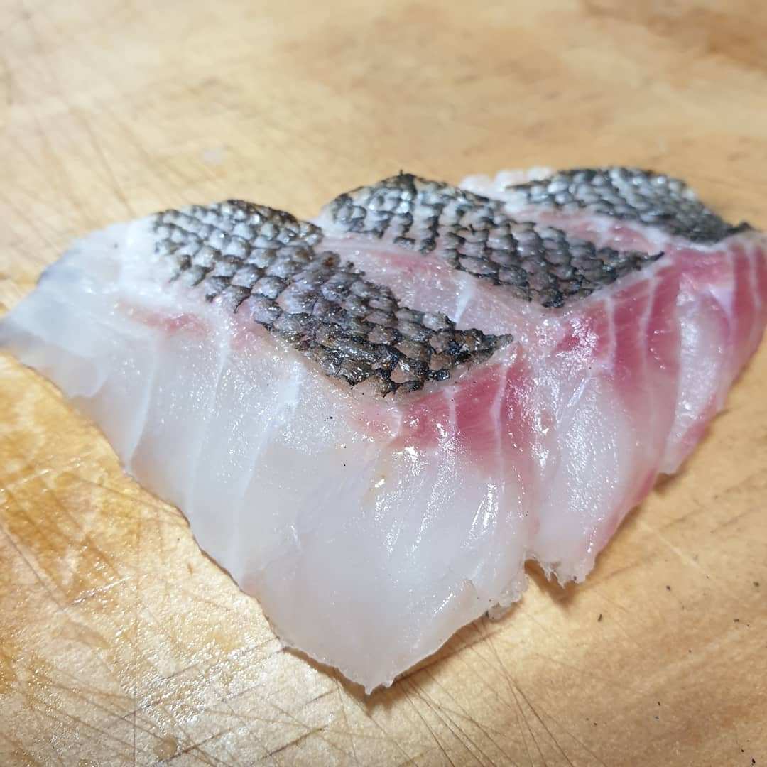 사시미 익힘 03 마츠카와5.jpg